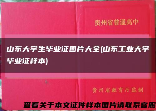 山東大學生畢業證圖片大全(山東工業大學畢業證樣本)縮略圖