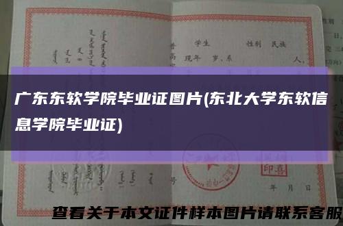 廣東東軟學院畢業證圖片(東北大學東軟信息學院畢業證)縮略圖