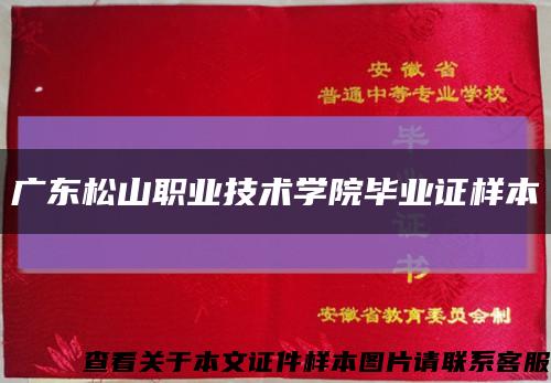 廣東松山職業技術學院畢業證樣本縮略圖