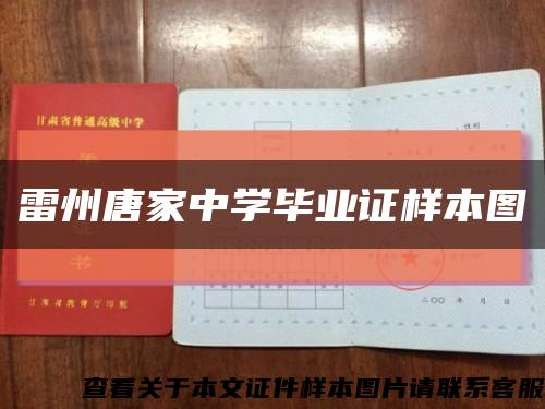 雷州唐家中學畢業證樣本圖縮略圖