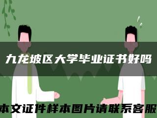 九龍坡區大學畢業證書好嗎縮略圖