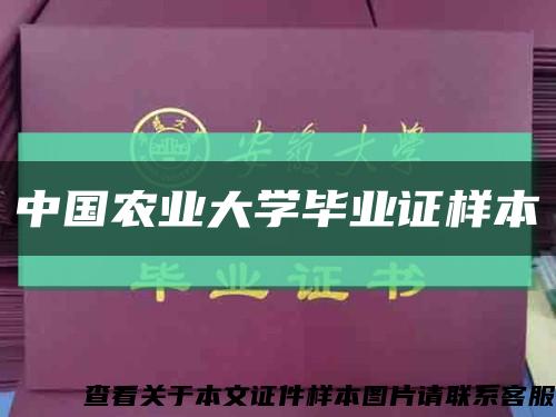 中國農業大學畢業證樣本縮略圖