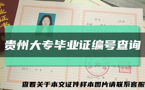 貴州大專畢業證編號查詢縮略圖