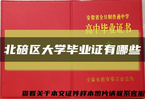 北碚區大學畢業證有哪些縮略圖