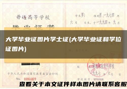 大學畢業證圖片學士證(大學畢業證和學位證圖片)縮略圖