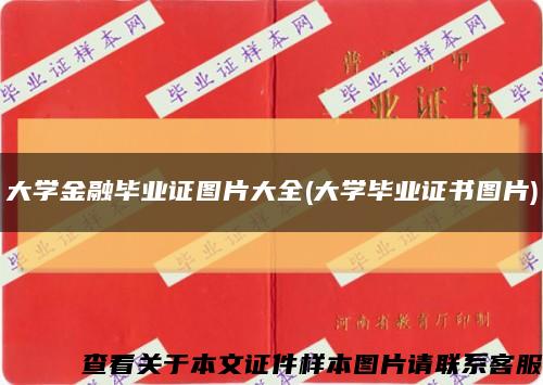大學金融畢業證圖片大全(大學畢業證書圖片)縮略圖