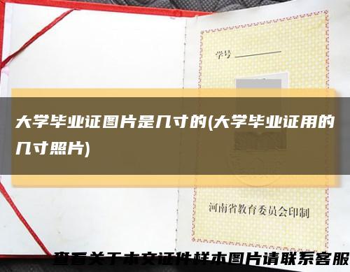 大學畢業證圖片是幾寸的(大學畢業證用的幾寸照片)縮略圖