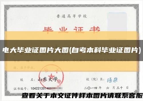 電大畢業證圖片大圖(自考本科畢業證圖片)縮略圖