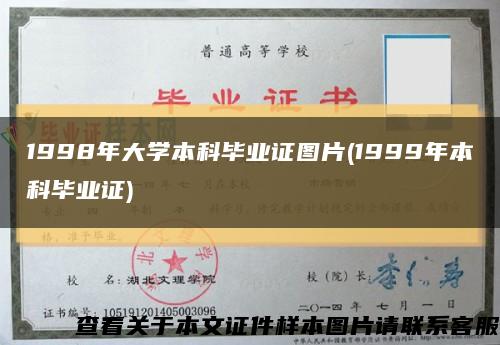 1998年大學本科畢業證圖片(1999年本科畢業證)縮略圖