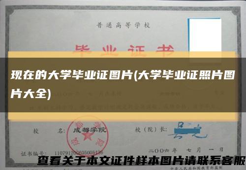 現在的大學畢業證圖片(大學畢業證照片圖片大全)縮略圖
