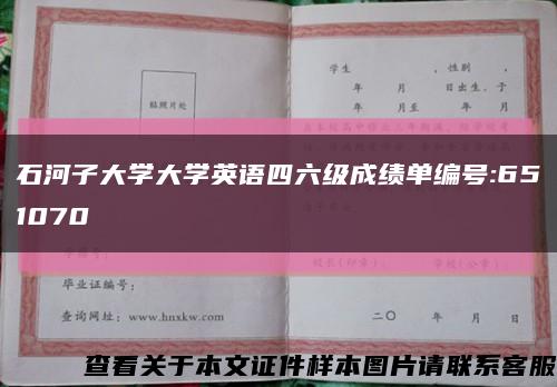 石河子大學大學英語四六級成績單編號:651070縮略圖