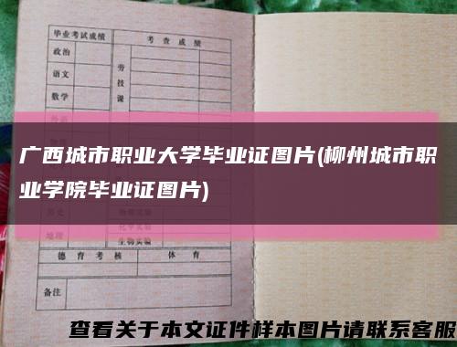 廣西城市職業大學畢業證圖片(柳州城市職業學院畢業證圖片)縮略圖