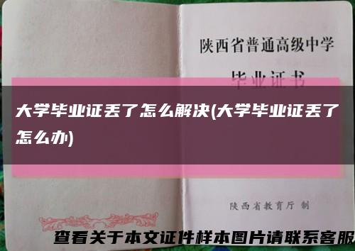 大學畢業證丟了怎么解決(大學畢業證丟了怎么辦)縮略圖