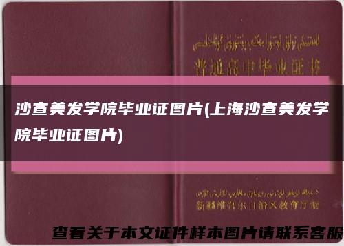 沙宣美發學院畢業證圖片(上海沙宣美發學院畢業證圖片)縮略圖