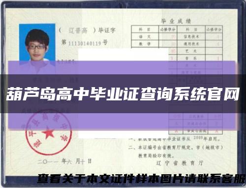 葫蘆島高中畢業證查詢系統官網縮略圖