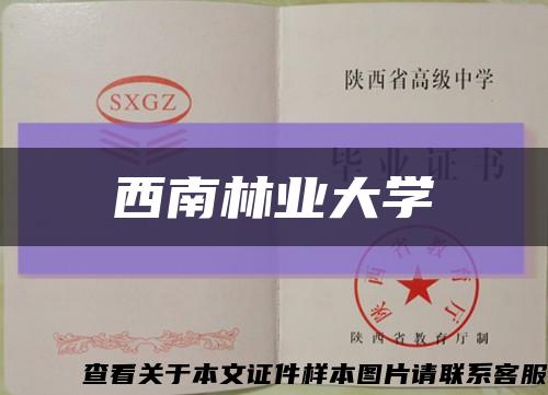 西南林業大學縮略圖