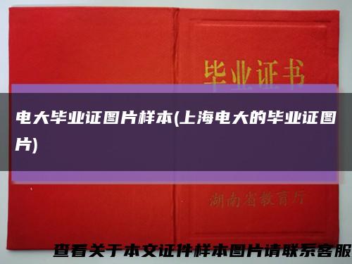 電大畢業證圖片樣本(上海電大的畢業證圖片)縮略圖