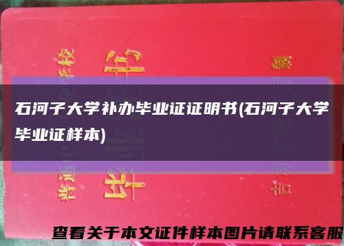 石河子大學補辦畢業證證明書(石河子大學畢業證樣本)縮略圖