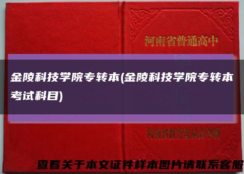金陵科技學院專轉本(金陵科技學院專轉本考試科目)縮略圖