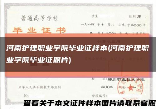 河南護理職業學院畢業證樣本(河南護理職業學院畢業證照片)縮略圖