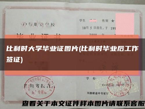 比利時大學畢業證圖片(比利時畢業后工作簽證)縮略圖