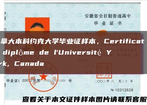 加拿大本科約克大學畢業證樣本，Certificat de dipl?me de l'Université York, Canada縮略圖