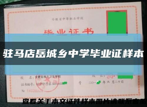 駐馬店岳城鄉中學畢業證樣本縮略圖