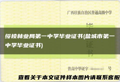 綏棱林業局第一中學畢業證書(鹽城市第一中學畢業證書)縮略圖