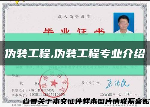 偽裝工程,偽裝工程專業介紹縮略圖