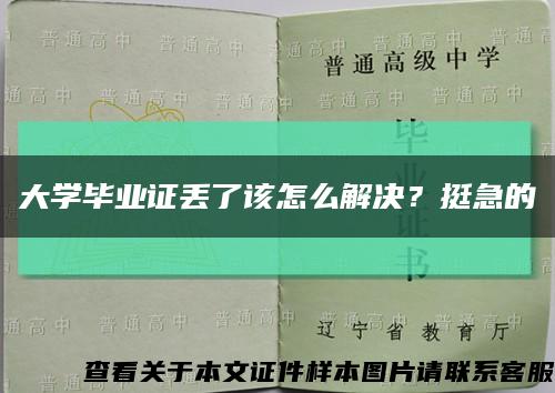大學畢業證丟了該怎么解決？挺急的縮略圖