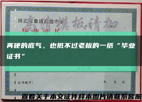 再硬的底氣，也抵不過老板的一紙“畢業證書”縮略圖
