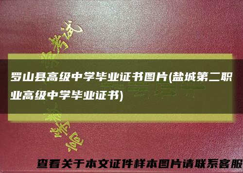 羅山縣高級中學畢業證書圖片(鹽城第二職業高級中學畢業證書)縮略圖