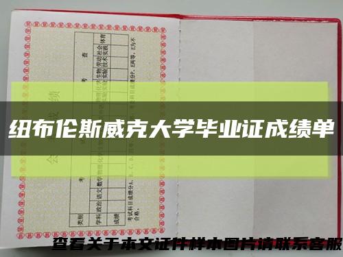 紐布倫斯威克大學畢業證成績單縮略圖