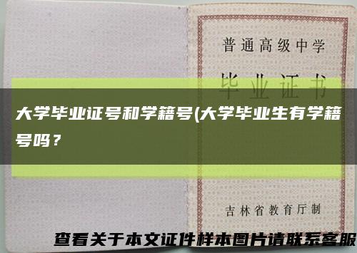 大學畢業證號和學籍號(大學畢業生有學籍號嗎？縮略圖