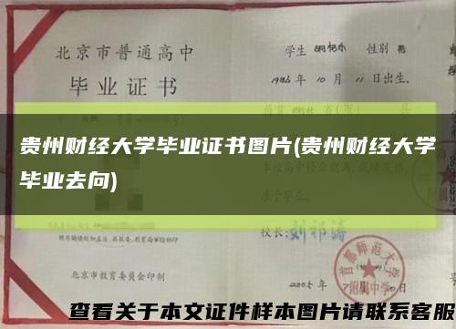 貴州財經大學畢業證書圖片(貴州財經大學畢業去向)縮略圖