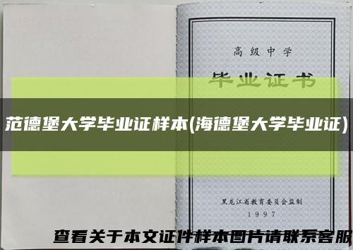 范德堡大學畢業證樣本(海德堡大學畢業證)縮略圖