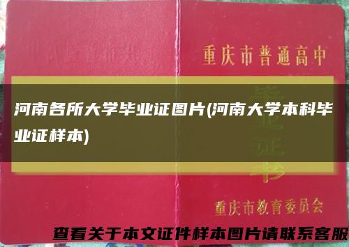 河南各所大學畢業證圖片(河南大學本科畢業證樣本)縮略圖