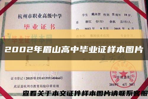 2002年眉山高中畢業證樣本圖片縮略圖