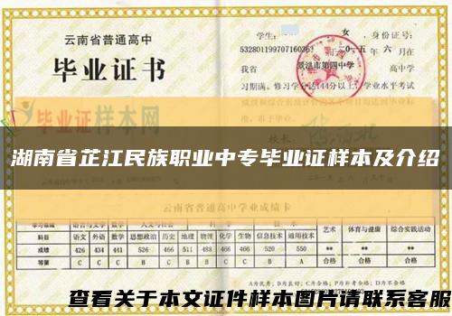 湖南省芷江民族職業中專畢業證樣本及介紹縮略圖