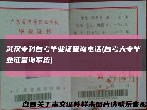 武漢?？谱钥籍厴I證查詢電話(自考大專畢業證查詢系統)縮略圖