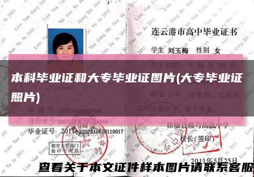 本科畢業證和大專畢業證圖片(大專畢業證照片)縮略圖
