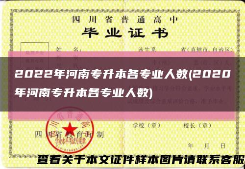 2022年河南專升本各專業人數(2020年河南專升本各專業人數)縮略圖