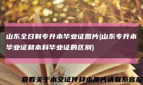 山東全日制專升本畢業證圖片(山東專升本畢業證和本科畢業證的區別)縮略圖