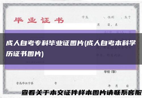 成人自考?？飘厴I證圖片(成人自考本科學歷證書圖片)縮略圖