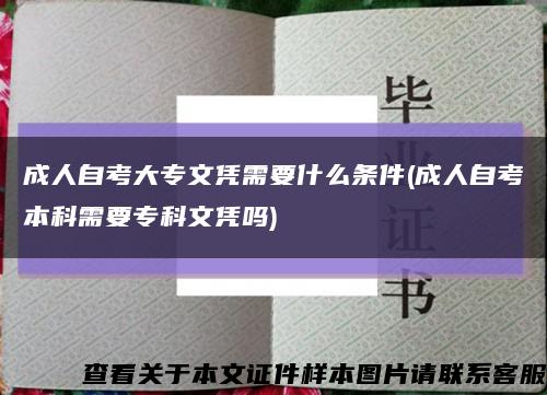 成人自考大專文憑需要什么條件(成人自考本科需要?？莆膽{嗎)縮略圖