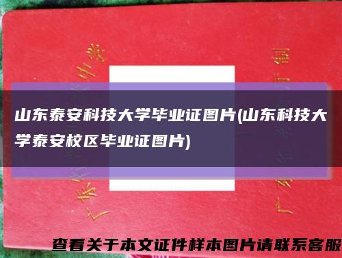 山東泰安科技大學畢業證圖片(山東科技大學泰安校區畢業證圖片)縮略圖