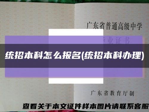 統招本科怎么報名(統招本科辦理)縮略圖