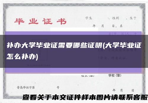 補辦大學畢業證需要哪些證明(大學畢業證怎么補辦)縮略圖