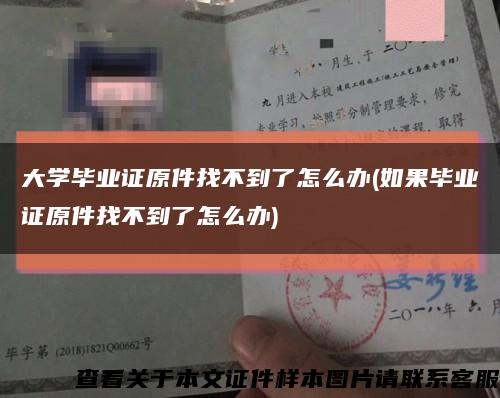 大學畢業證原件找不到了怎么辦(如果畢業證原件找不到了怎么辦)縮略圖