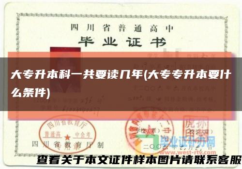 大專升本科一共要讀幾年(大專專升本要什么條件)縮略圖